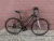 Genesis Speed Cross SX3.8 - 28” Női Trekking Kerékpár, 3x8 Shimano Acera váltó, SR Suntour NEX teleszkóp, 47cm