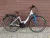 KTM LIFE TIME -  Női trekking kerékpár 28” / 43 cm / 3×8 sebességes Shimano Deore váltórendszer/ SR Suntour NEX első teleszkóp